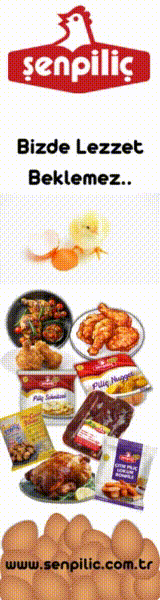 160×600 – Sağ Kayan #3