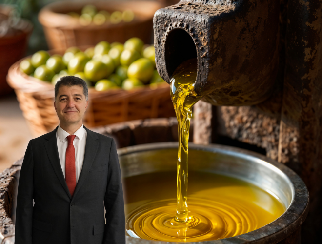 TÜRK ZEYTİNYAĞI HABER GÖRSELİ