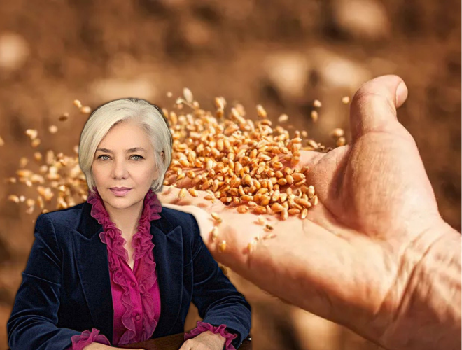 MELTEM ACAR ATA TOHUMU KÖŞE YAZISI GÖRSELİ